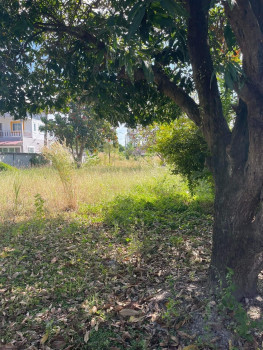 ขาย ที่ดิน พร้อมบ้าน ติดถนน ห้วยใหญ่ พัทยา บางละมุง ชลบุรี รูปที่ 3