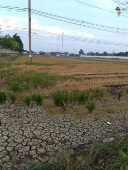 ขาย ที่ดิน 6 ไร่ ท่าใข่ เมืองฉะเชิงเทรา ติดถนนลาดยาง รูปที่ 5