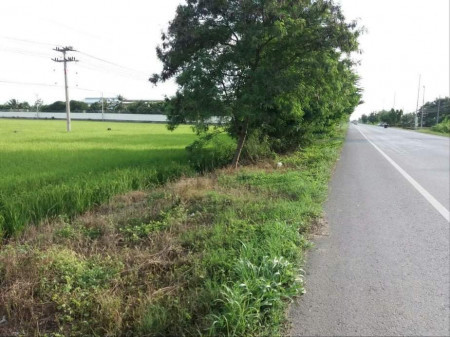 ขาย ที่ดิน 6 ไร่ ท่าใข่ เมืองฉะเชิงเทรา ติดถนนลาดยาง รูปที่ 3
