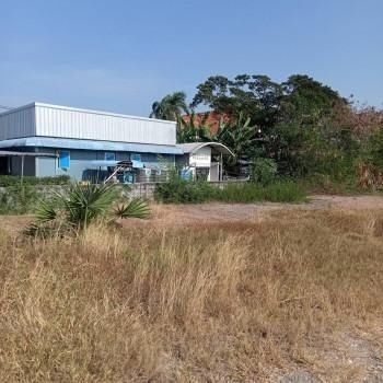 ขาย ที่ดิน 25 ไร่ 2 งาน 56 ตร.วา ติดถนนใหญ่ 4เลน เจ้าของร้อนเงิน ยอมขายขาดทุน รูปที่ 11