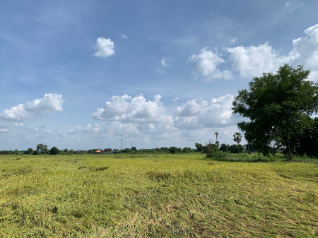 ขาย ที่ดิน 23 ไร่ 1 งาน จังหวัดปทุมธานี ที่ดินสามารถ สร้างโครงการหมู่บ้าน ทำโกดัง หรือโรงงานที่เกี่ยวกับการเกษตรได้ รูปที่ 3