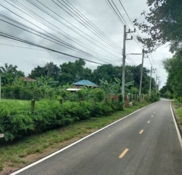 ขาย บ้านพร้อมสวน ไม้ผลและไม้ป่า ติดถนนดำ สรรพยา ชัยนาท (เจ้าของขายเอง) รูปที่ 2