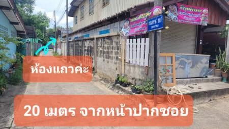 ขาย พร้อมผู้เช่าเต็มทุกห้อง ห้องแถว 14 ห้อง ถนนเทศบาล 3 ปากช่อง (เจ้าของขายเอง) รูปที่ 6