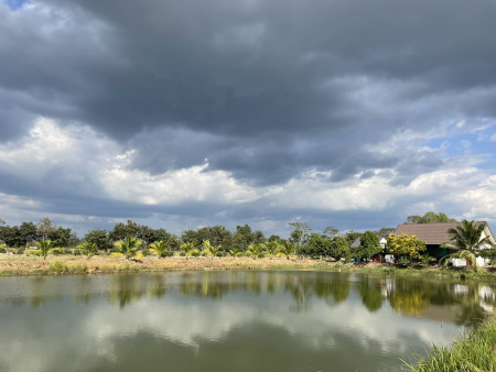ขาย บ้านสวนพร้อมอยู่อาศัย 15 ไร่ เจ้าของขายเอง อำเภอบ้านนา จังหวัดนครนายก รูปที่ 5