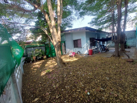ขาย บ้านเดี่ยว พร้อมที่ดิน หลังเซ็นทรัล แจ้งวัฒนะ ทำเลทอง ติดรถไฟฟ้า เดินทางสะดวก รูปที่ 2