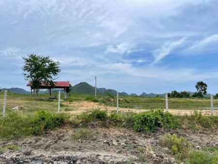 ขาย ที่ดิน โฉนดครุฑแดง ปลอดภาระพร้อมโอนสามร้อยยอด 203 ตร.วา น้ำไฟพร้อม ติดถนน 2 ด้าน รูปที่ 4