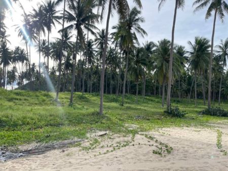ขาย ที่ดิน สี่เหลี่ยมผืนผ้า ติดทะเล ไม่มีถนนคั่นบางสะพาน 2 ไร่ 3 งาน 59 ตร.วา โฉนดครุฑแดง น้ำไฟพร้อม ค่าโอนคนล่ะครึ่ง รูปที่ 4