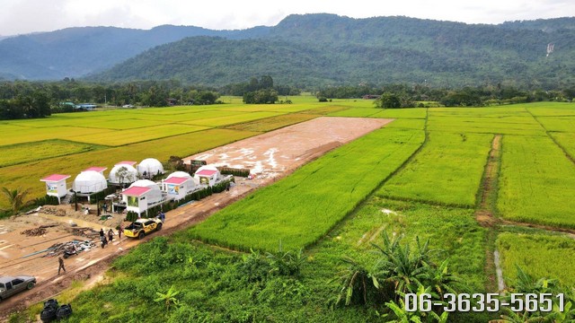 ขายที่วิวเขาสวย หลังฝนตกนางชมหมอกสวยๆ ต.เขาพระ อ.เมืองนครนายก สูงกว่าระดับน้ำทะเลประมาณ 25 เมตร รูปที่ 1