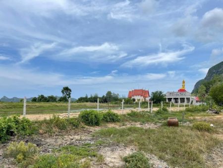 ขาย ที่ดิน โฉนดครุฑแดง ปลอดภาระพร้อมโอนสามร้อยยอด 203 ตร.วา น้ำไฟพร้อม ติดถนน 2 ด้าน รูปที่ 5