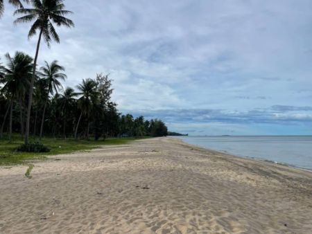 ขาย ที่ดิน สี่เหลี่ยมผืนผ้า ติดทะเล ไม่มีถนนคั่นบางสะพาน 2 ไร่ 3 งาน 59 ตร.วา โฉนดครุฑแดง น้ำไฟพร้อม ค่าโอนคนล่ะครึ่ง รูปที่ 3