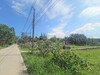 รูปย่อ ขาย ที่ดิน WF053 บ่อวิน ศรีราชา ชลบุรี ที่ดินเปล่า 4 ไร่ รูปแปลงสวย ติดถนนสาธารณะ. 2 ด้าน ใกล้ถนน 331 เพียง 1.7 Km รูปที่3