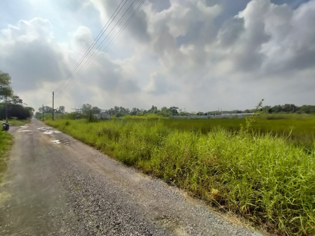 ขาย ที่ดิน ขายถูก ที่ดินคลองหลวง คลองสี่ ตะวันตก22 3 งาน 77 ตร.วา รูปที่ 5