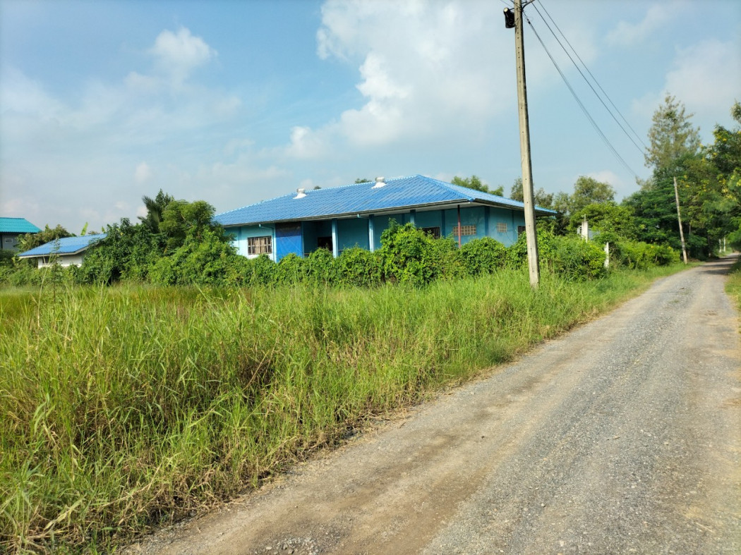 ขาย ที่ดิน ขายถูก ที่ดินคลองหลวง คลองสี่ ตะวันตก22 3 งาน 77 ตร.วา รูปที่ 4