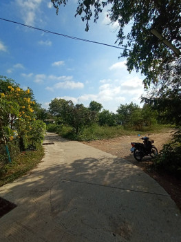 ขาย ที่ดินเปล่า ถมแล้ว ใกล้ตลาด ใกล้สถานีรถไฟ บ้านภาชี รูปที่ 3