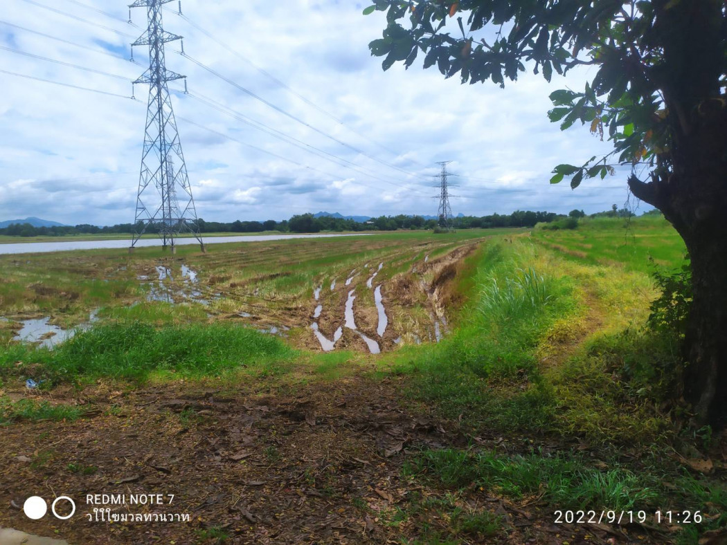 ขาย ที่ดิน ที่นา 10 ไร่ ติดถนนปูน บางขันหมาก เมือง ลพบุรี รูปที่ 9