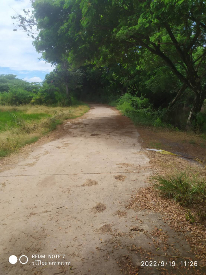 ขาย ที่ดิน ที่นา 10 ไร่ ติดถนนปูน บางขันหมาก เมือง ลพบุรี รูปที่ 5