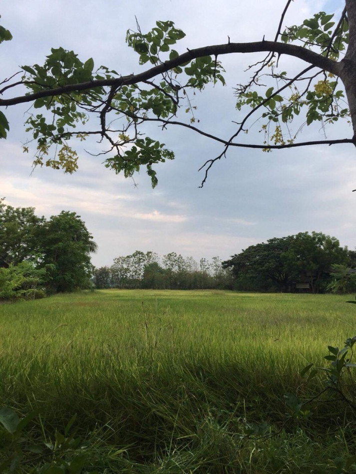 ขาย ที่ดิน เชียงใหม่ สันกำแพง ตำบลต้นเปา ไร่ละ 4.5 ล้านบาท มีทั้งหมด 6 ไร่ อยู่ใกล้สนามบินเชียงใหม่เพียง 15 กิโลเมตรเท่านั้น ราคาตกลงกันได้ รูปที่ 8