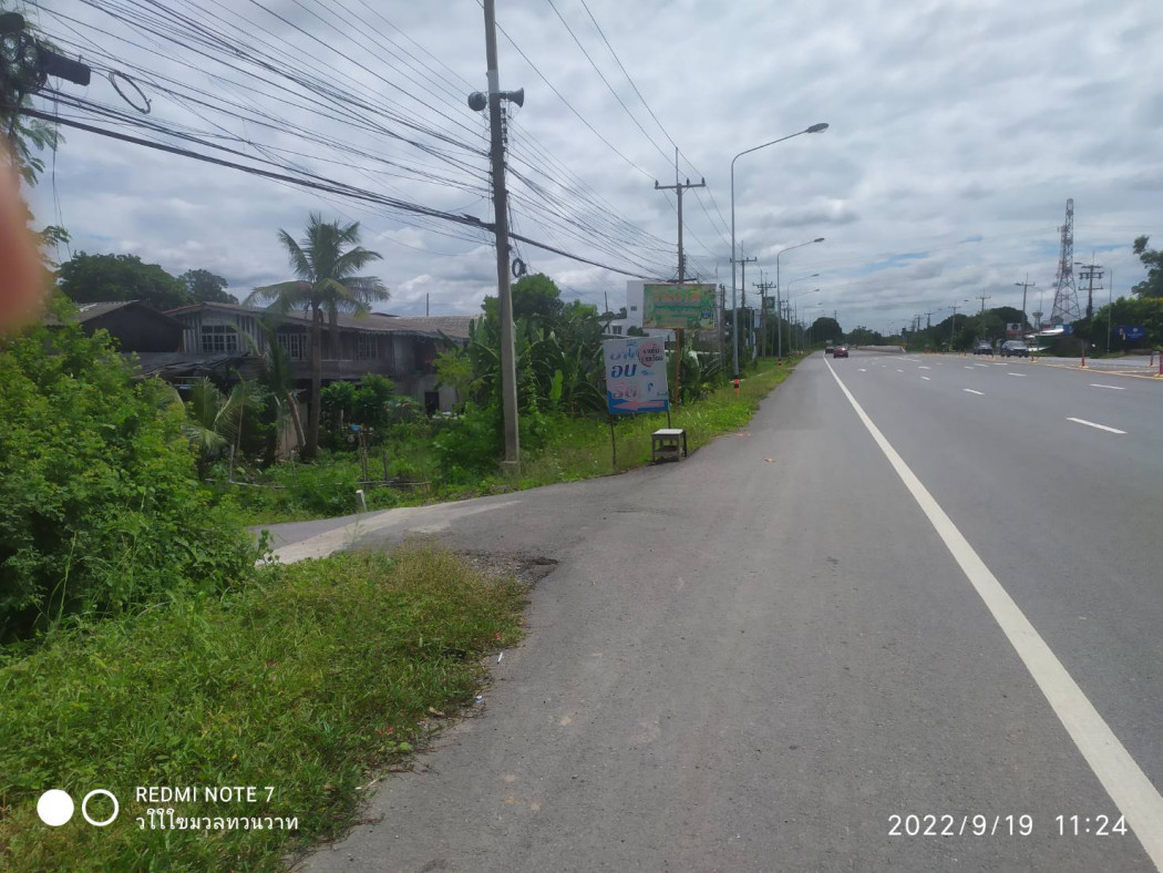 ขาย ที่ดิน ที่นา 10 ไร่ ติดถนนปูน บางขันหมาก เมือง ลพบุรี รูปที่ 2