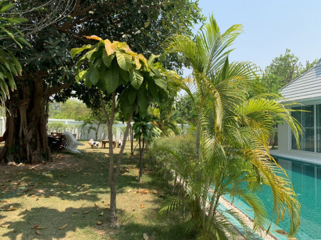ขาย บ้านหรู 4 ไร่ 27ตร.ว พร้อมสระว่ายน้ำ โกสุมพิสัย มหาสารคาม 6.5 ล้านบาท รูปที่ 6