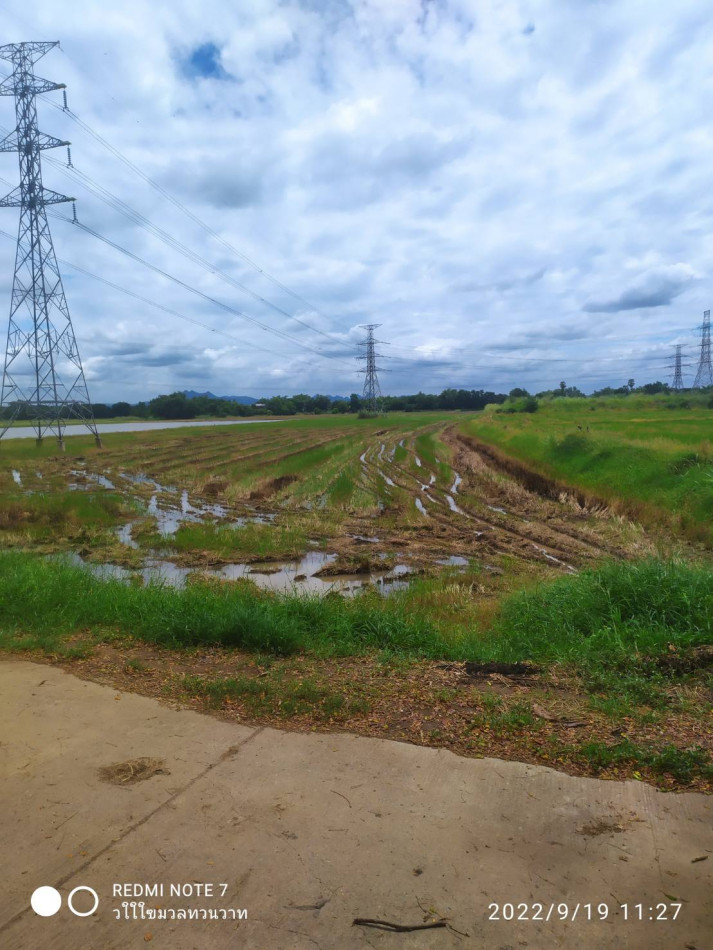 ขาย ที่ดิน ที่นา 10 ไร่ ติดถนนปูน บางขันหมาก เมือง ลพบุรี รูปที่ 8