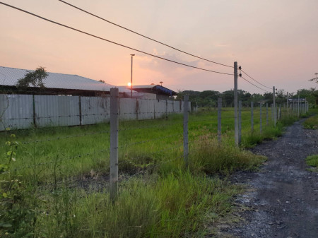 ขาย ที่ดิน ติดถนน ย่านธุรกิจ หมู่บ้านถวาย หมู่บ้านotop เจ้าของขายเอง รูปที่ 7