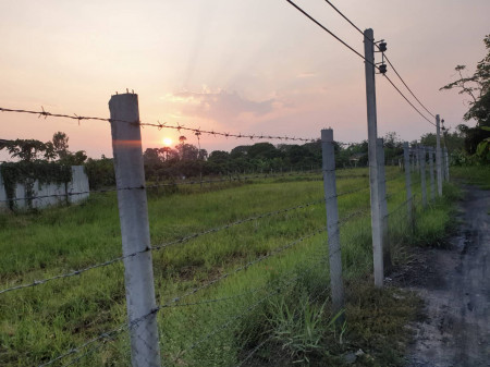ขาย ที่ดิน ติดถนน ย่านธุรกิจ หมู่บ้านถวาย หมู่บ้านotop เจ้าของขายเอง รูปที่ 4