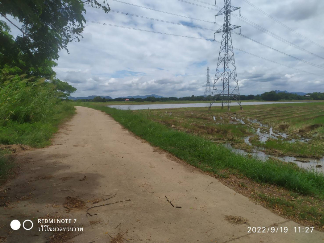 ขาย ที่ดิน ที่นา 10 ไร่ ติดถนนปูน บางขันหมาก เมือง ลพบุรี รูปที่ 7
