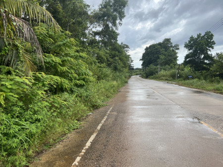 ขาย ที่ดิน สวนผลไม้ เมืองจันท์ 138ไร่ ติดถนนดำ จันทบุรี รูปที่ 2