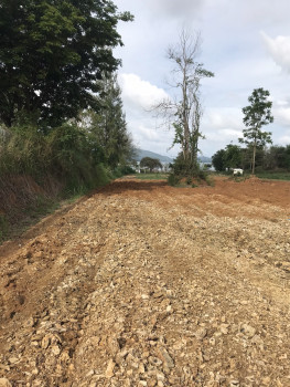 ขาย ที่ดิน 10ไร่ บ้านท่าลิงลม (ติดเขื่อนแก่งกระจาน) เพชรบุรี รูปที่ 5
