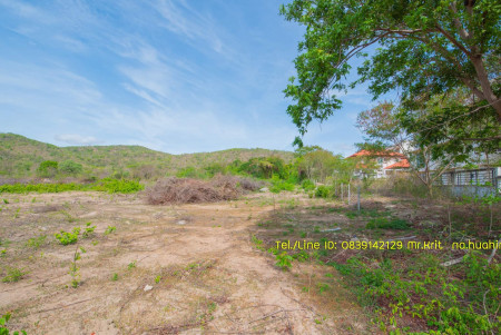 ขาย ที่ดิน กลางเมืองหัวหิน  เขตเทศบาล ถูกกว่าราคาตลาดถึง53% รูปที่ 10