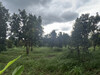 รูปย่อ ขาย ที่ดิน สวนผลไม้ เมืองจันท์ 138ไร่ ติดถนนดำ จันทบุรี รูปที่1