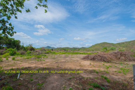 ขาย ที่ดิน กลางเมืองหัวหิน  เขตเทศบาล ถูกกว่าราคาตลาดถึง53% รูปที่ 9