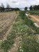 รูปย่อ ขาย ที่ดิน 10ไร่ บ้านท่าลิงลม (ติดเขื่อนแก่งกระจาน) เพชรบุรี รูปที่8