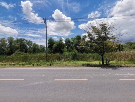 ขาย ที่ดิน ถนนร่วมพัฒนา หนองจอก 32 ไร่ 3 งาน 4 ตร.วา ทำเลดี ใกล้ถนนสุวินทวงศ์แค่ 1.6 กม. เหมาะทำโครงการจัดสรร รูปที่ 5