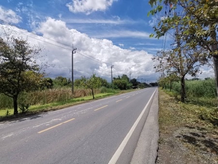 ขาย ที่ดิน ถนนร่วมพัฒนา หนองจอก 32 ไร่ 3 งาน 4 ตร.วา ทำเลดี ใกล้ถนนสุวินทวงศ์แค่ 1.6 กม. เหมาะทำโครงการจัดสรร รูปที่ 4