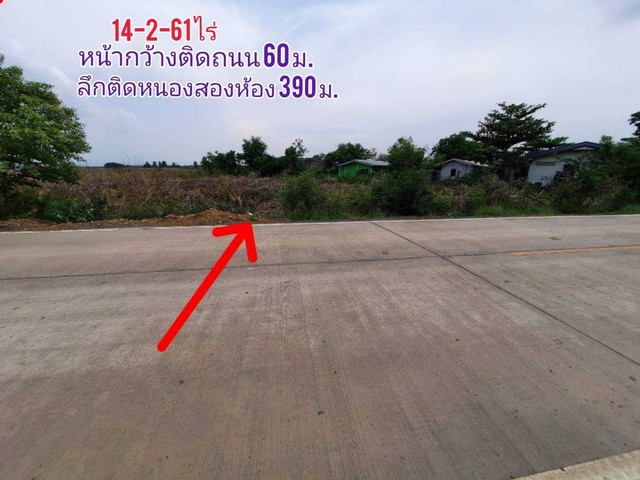 ขายที่ดินลำตาเสาใกล้ตลาดสี่ขวาพัฒนา ต.ลำตาเสา อ.วังน้อย  จ.อยุธยา รูปที่ 1