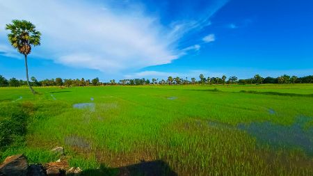 ขาย ที่ดิน ทำเลดี วิวสวยโครงการเขาทะโมน 209 ตร.วา ที่สุดของที่ดินเพื่อที่อยู่อาศัย ใกล้เมืองเพชรบุรี รูปที่ 2