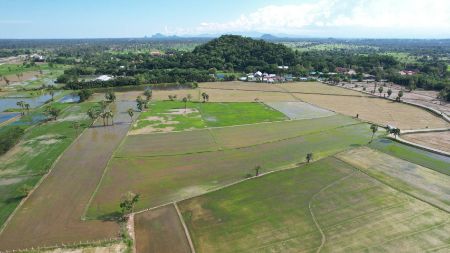 ขาย ที่ดิน ทำเลดี วิวสวยโครงการเขาทะโมน 209 ตร.วา ที่สุดของที่ดินเพื่อที่อยู่อาศัย ใกล้เมืองเพชรบุรี รูปที่ 4
