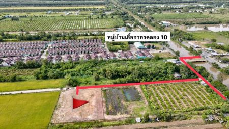 ขาย ที่ดิน ที่สวยทำเลดี ติดถนนคอนกรีตคลอง 10 2 ไร่ ที่ดินแบ่งขายถมแล้วพร้อมสร้าง รูปที่ 4