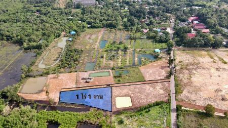 ขาย ที่ดิน ฟรีค่าโอน ภาษี โฉนดครุฑแดงคำโตนด 1 ไร่ 1 งาน ที่ดินถมแล้วพร้อมสร้าง มีบ่อน้ำ 1 บ่อ รูปที่ 3