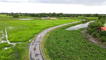 ขาย ที่ดิน เหมาะทำโคกหนองนา บ้านพักตากอากาศเกษตรผสมผสาน 1 ไร่ ติดถนน ติดลำรางมีน้ำใช้ตลอดปี รูปที่ 5