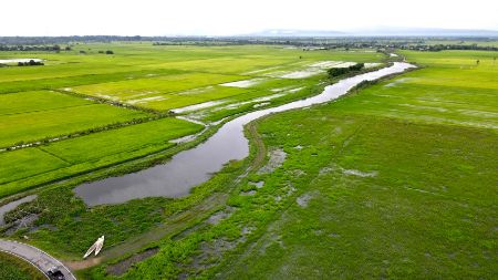 ขาย ที่ดิน เหมาะทำโคกหนองนา บ้านพักตากอากาศเกษตรผสมผสาน 1 ไร่ ติดถนน ติดลำรางมีน้ำใช้ตลอดปี รูปที่ 4
