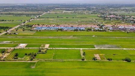 ขาย ที่ดิน ติดถนนคอนกรีต ฟรีโอนคลอง 5 2 ไร่ ที่สวย ทำเลดี อนาคตไกล ใกล้แหล่งความเจริญ รูปที่ 3