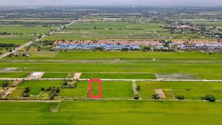 ขาย ที่ดิน ติดถนนคอนกรีต ฟรีโอนคลอง 5 2 ไร่ ที่สวย ทำเลดี อนาคตไกล ใกล้แหล่งความเจริญ รูปที่ 4