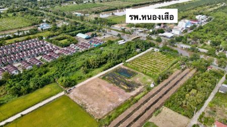 ขาย ที่ดิน ที่สวยทำเลดี ติดถนนคอนกรีตคลอง 10 2 ไร่ ที่ดินแบ่งขายถมแล้วพร้อมสร้าง รูปที่ 3