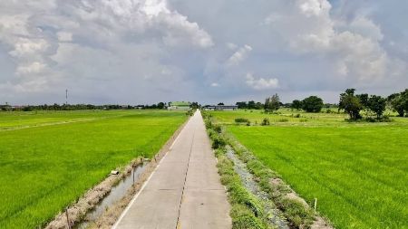 ขาย ที่ดิน ติดถนนคอนกรีต ฟรีโอนคลอง 5 2 ไร่ ที่สวย ทำเลดี อนาคตไกล ใกล้แหล่งความเจริญ รูปที่ 2