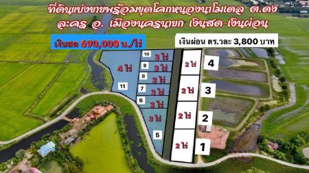 ขาย ที่ดิน เหมาะทำโคกหนองนา บ้านพักตากอากาศเกษตรผสมผสาน 1 ไร่ ติดถนน ติดลำรางมีน้ำใช้ตลอดปี รูปที่ 1