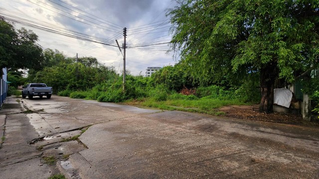 ขายที่ดินกลางเมืองเชียงใหม่โซนท่าศาลาบ้านต้นขามใกล้สถานีรถไฟ บิ๊กซี อาเขต รูปที่ 1