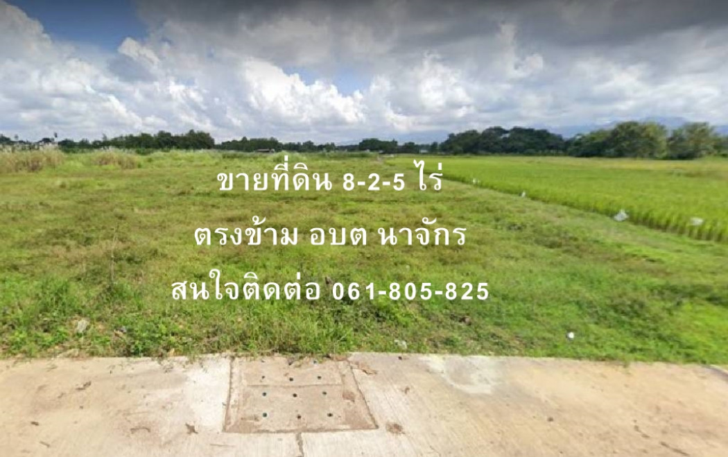 ขาย ที่ดิน ตรงข้าม อบต นาจักร ที่ดินเปล่า จ.แพร่ 8 ไร่ 2 งาน 5 ตร.วา รูปที่ 6