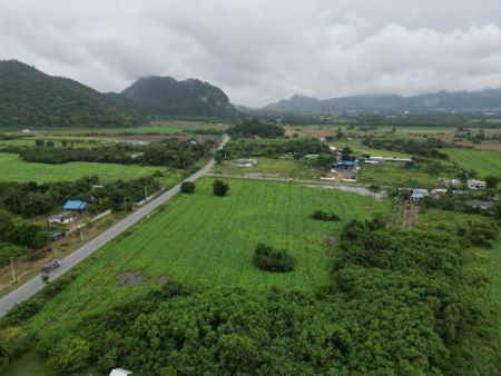 ขาย ที่ดิน โฉนดครุฑแดง
ฟรีค่าโอน ค่าภาษีเฟส 93 พุคำจาน 1 ไร่ น้ำปะปา ไฟฟ้า พร้อม รูปที่ 3